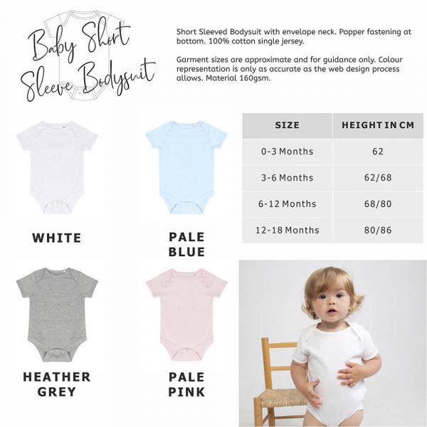 Hello World Baby Grow Size Guide