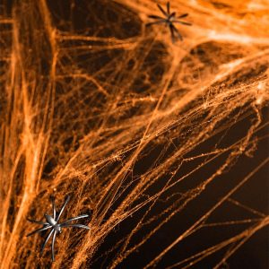 Orange Spiders Web