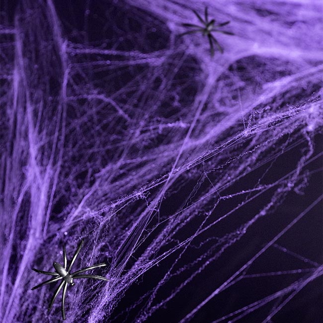 Purple Spiders Web
