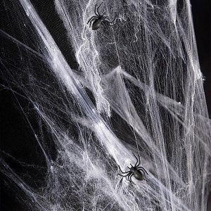 White Spiders Web