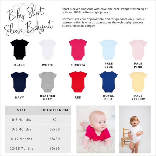 Baby Bodysuit Size Guide and Colours